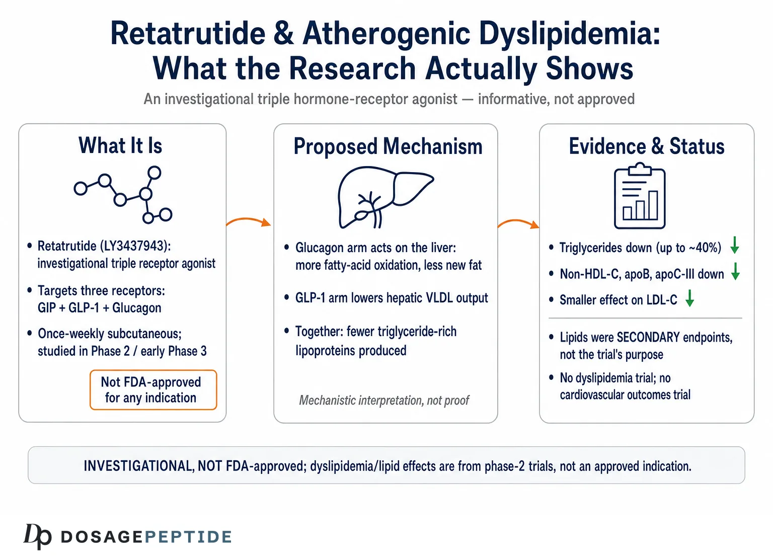 How Does Retatrutide Research Inform Treatment of Atherogenic Dyslipidemia? — Dosage Peptide infographic