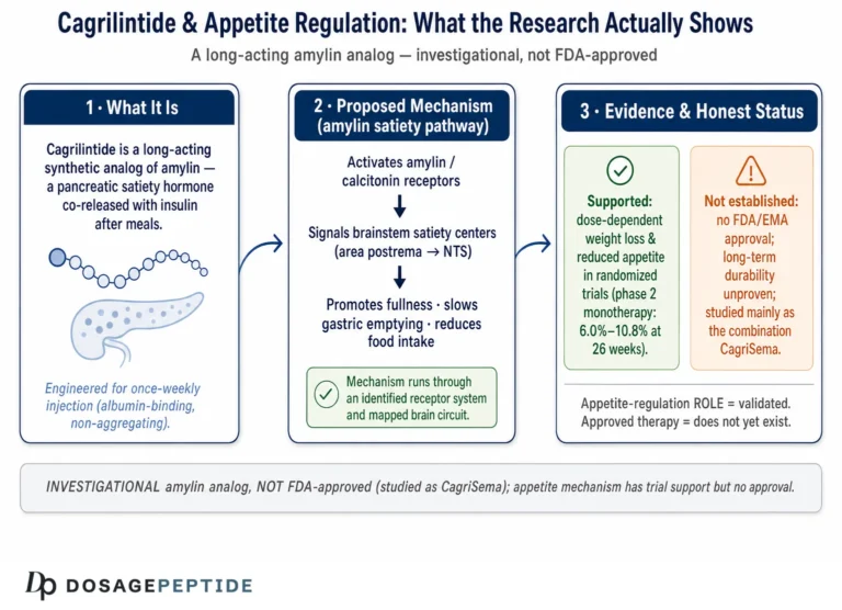 Can Scientific Research Validate Cagrilintide’s Role in Appetite Regulation?