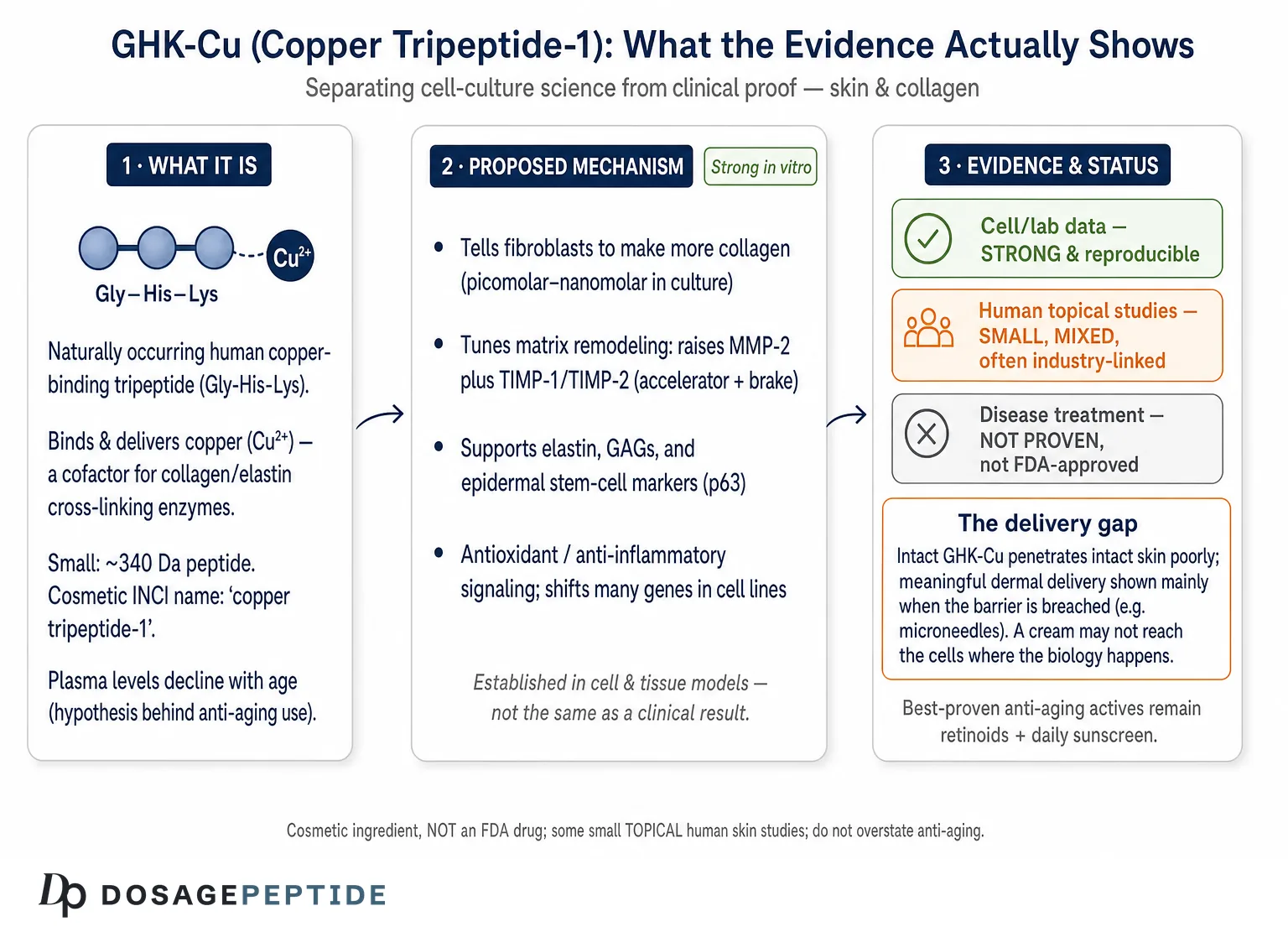 What Does GHK-Cu Do for Skin Health, Wrinkle Reduction, and Collagen Synthesis? — Dosage Peptide infographic