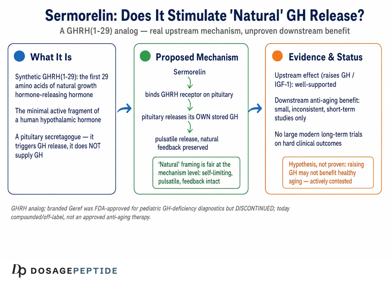What Does Research Say About Sermorelin Role in Stimulating Natural Growth Hormone? — Dosage Peptide infographic