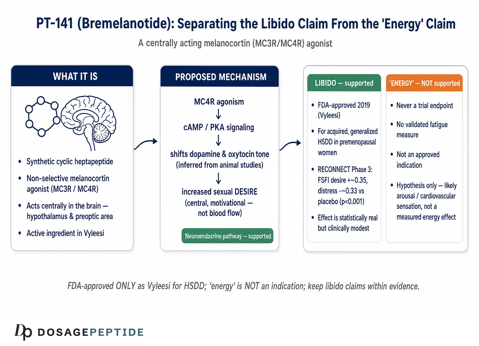 Does PT-141 Influence Neuroendocrine Pathways to Enhance Libido and Energy? — Dosage Peptide infographic
