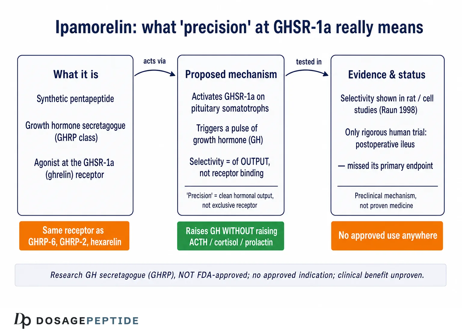 Which Studies Demonstrate Ipamorelin Precision In Targeting The GHSR-1a Receptor? — Dosage Peptide infographic