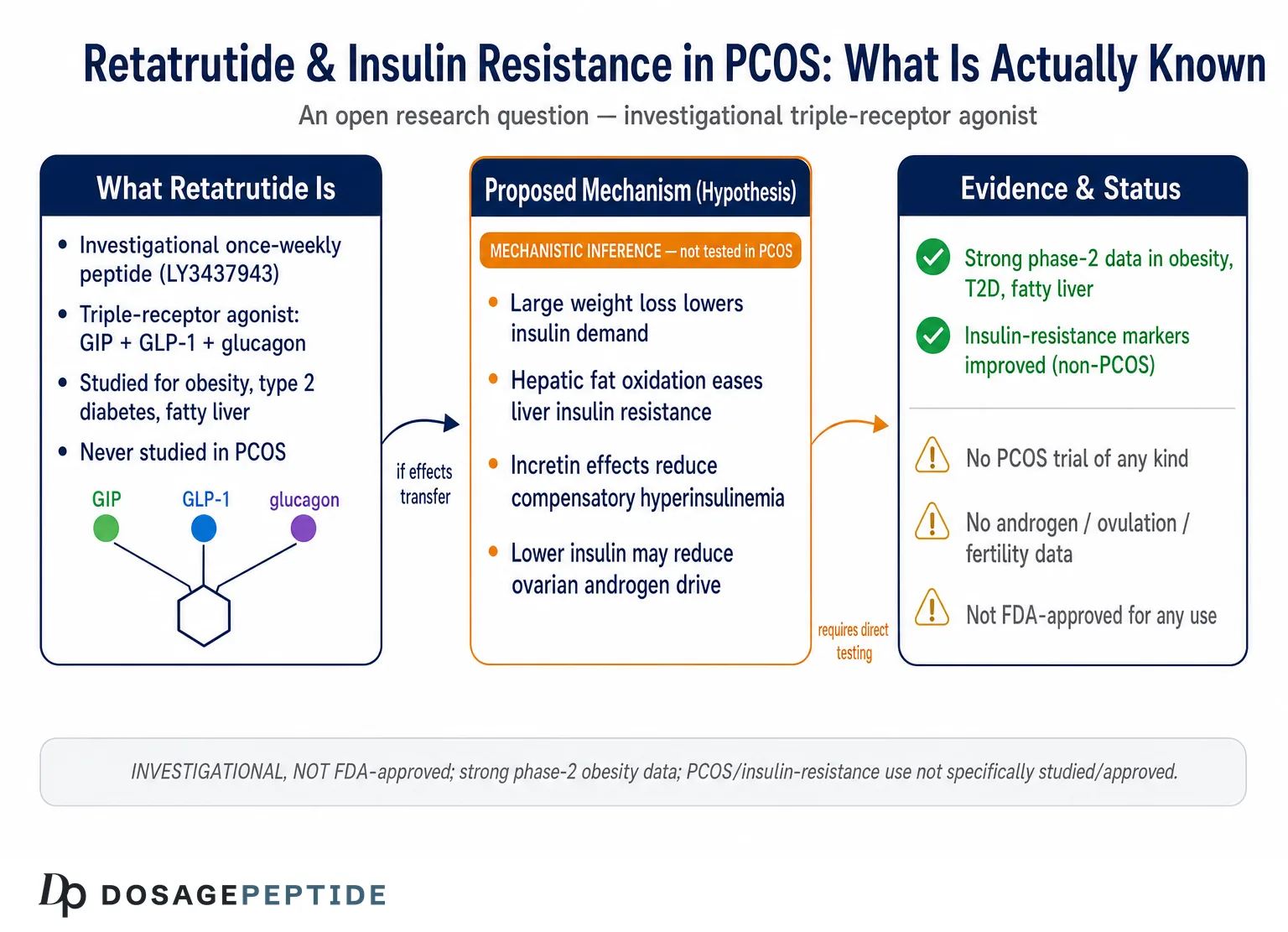 How Does Retatrutide Affect Insulin Resistance In Polycystic Ovary Syndrome? — Dosage Peptide infographic