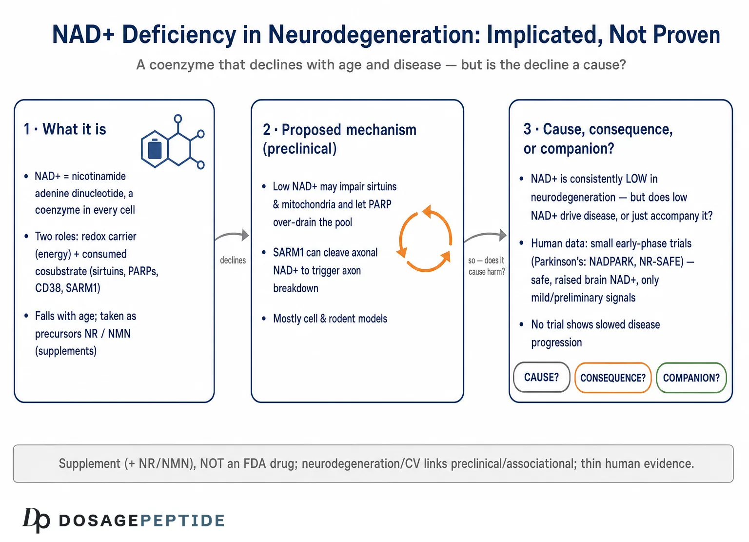 Is NAD+ Deficiency Implicated in Neurodegenerative Disease Progression Mechanisms? — Dosage Peptide infographic