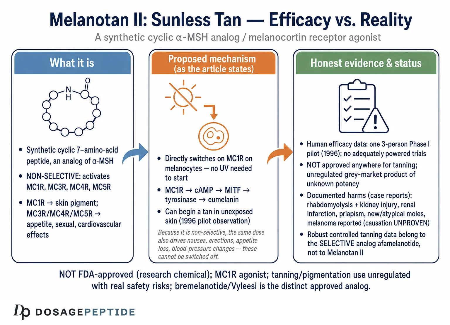Does Melanotan II Promote Sunless Tanning Effectively, and What Risks Are Involved? — Dosage Peptide infographic