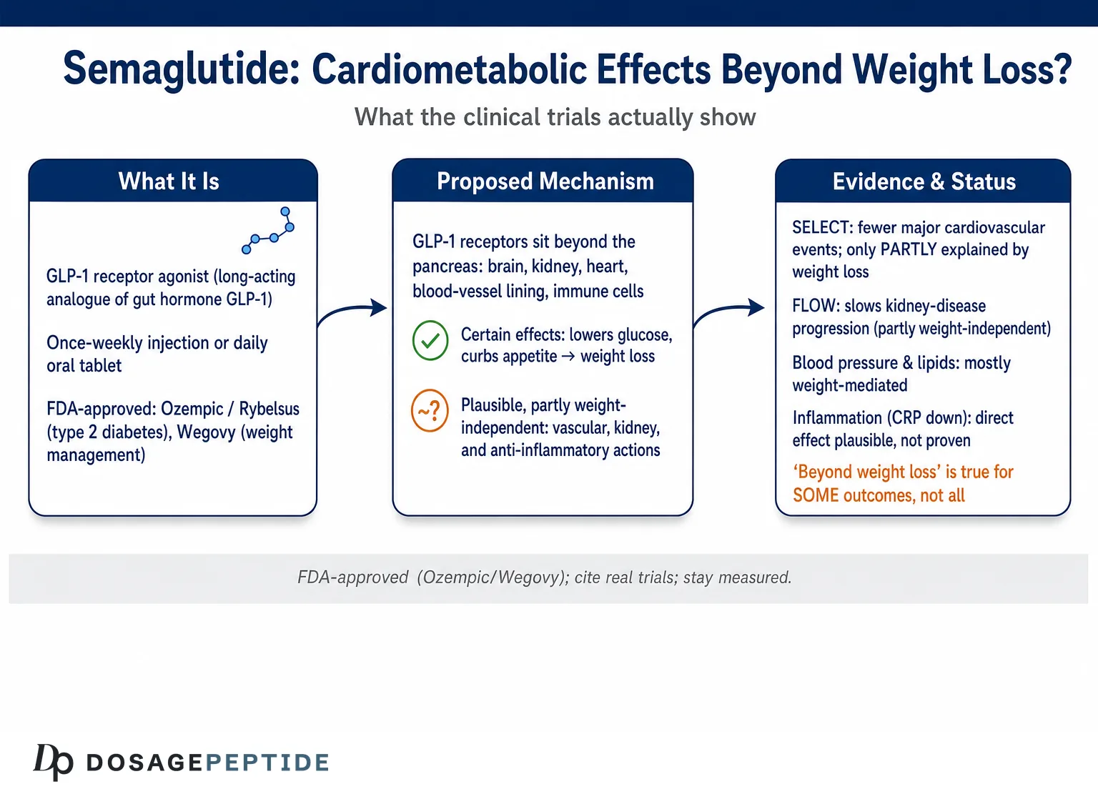What do semaglutide clinical trials show about cardiometabolic benefits beyond weight loss? — Dosage Peptide infographic
