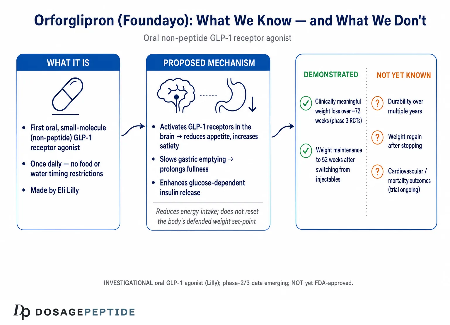 What Does Research Say About Orforglipron Long-Term Effects on Weight Loss? — Dosage Peptide infographic