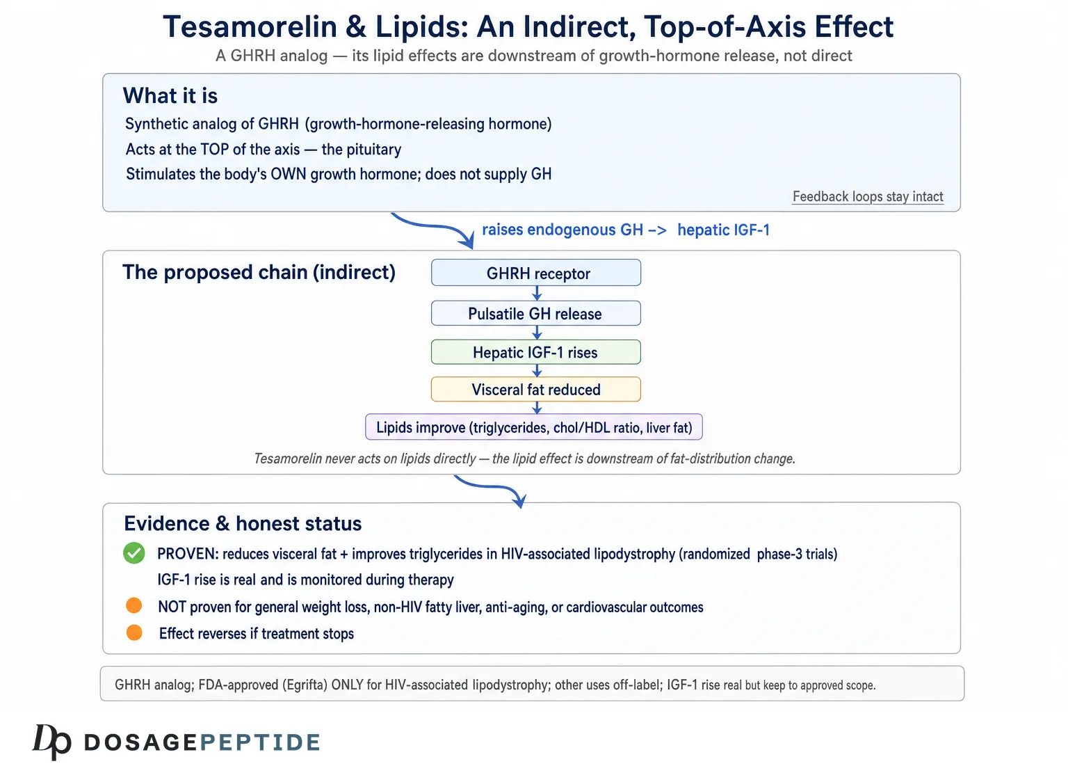 How does tesamorelin regulate lipid metabolism via endocrine crosstalk? — Dosage Peptide infographic