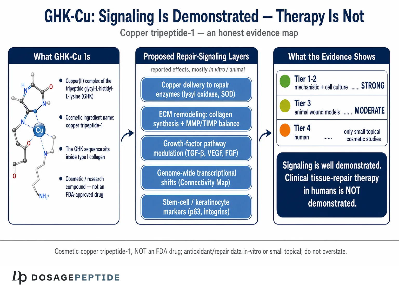 What Scientific Evidence Demonstrates GHK-Cu’s Role in Tissue Repair Signaling?
