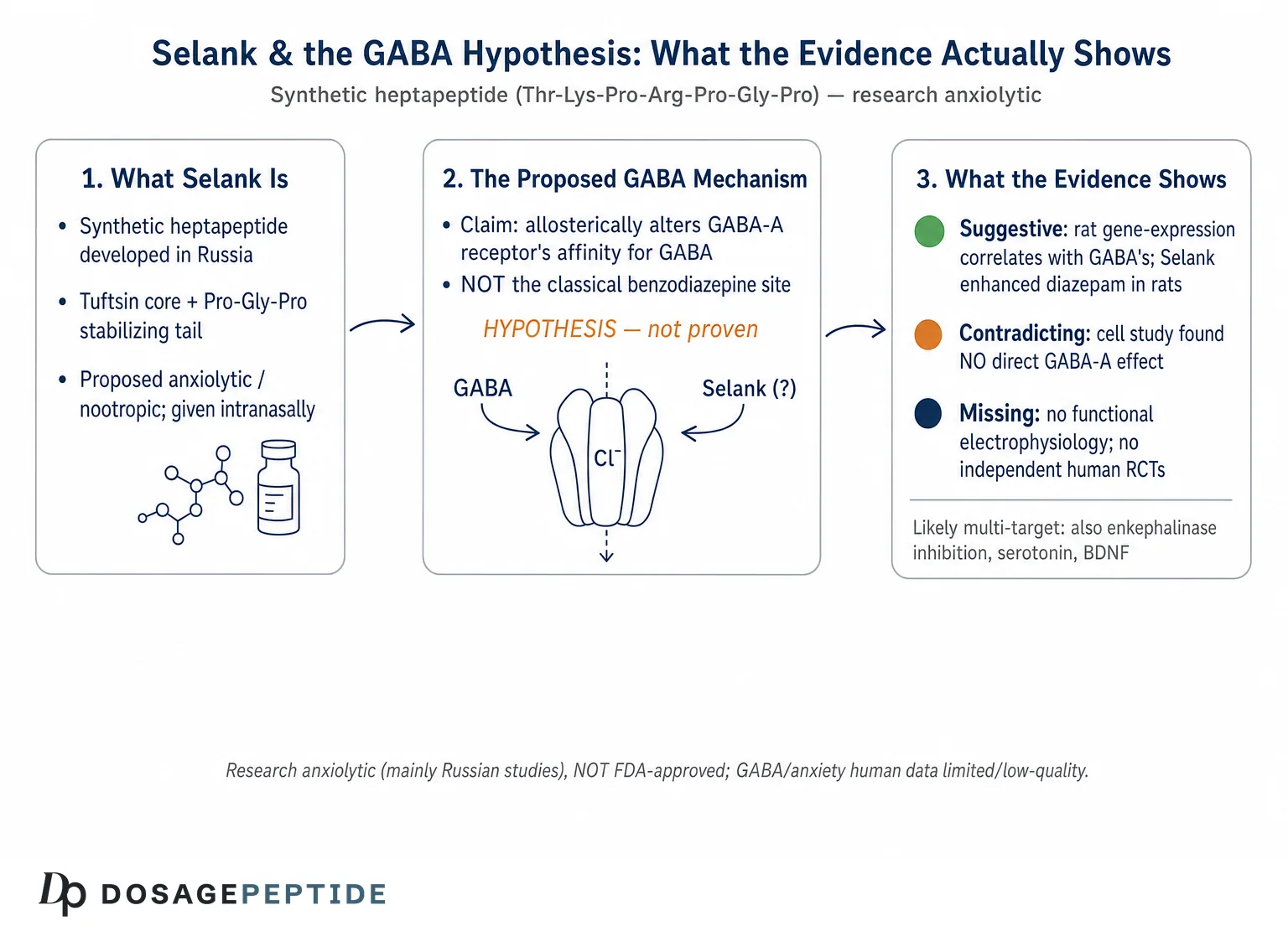 How Does Selank Influence GABA Signaling to Help Lower Anxiety Levels?