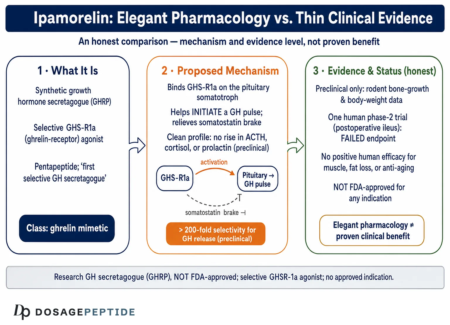 Ipamorelin vs Other GH Peptides: How They Compare