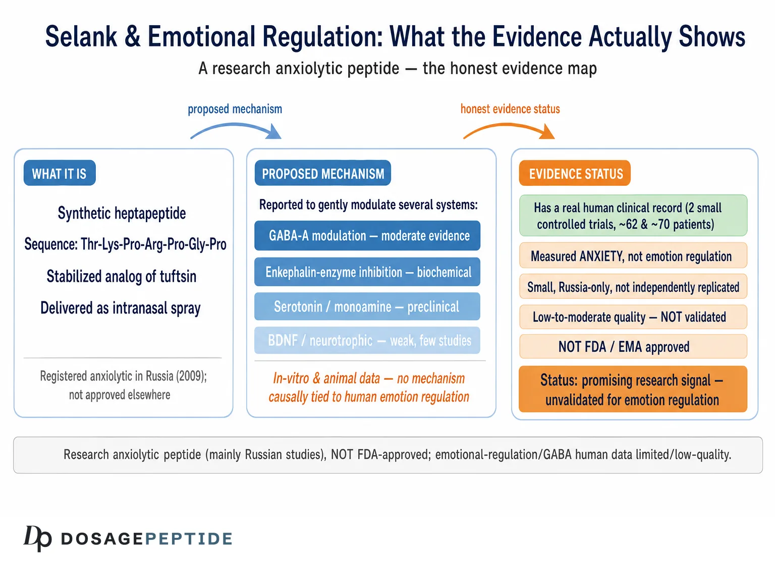 Selank for Anxiety: What the Clinical Research Actually Shows