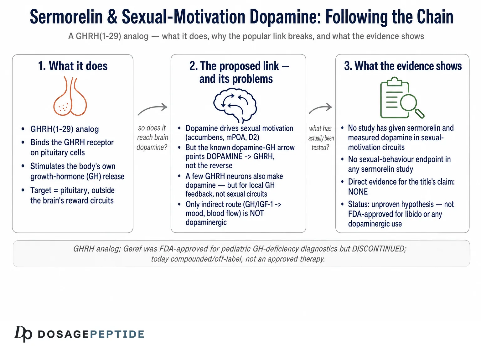 Does Sermorelin Affect Dopaminergic Activity Associated With Sexual Motivation? — Dosage Peptide infographic