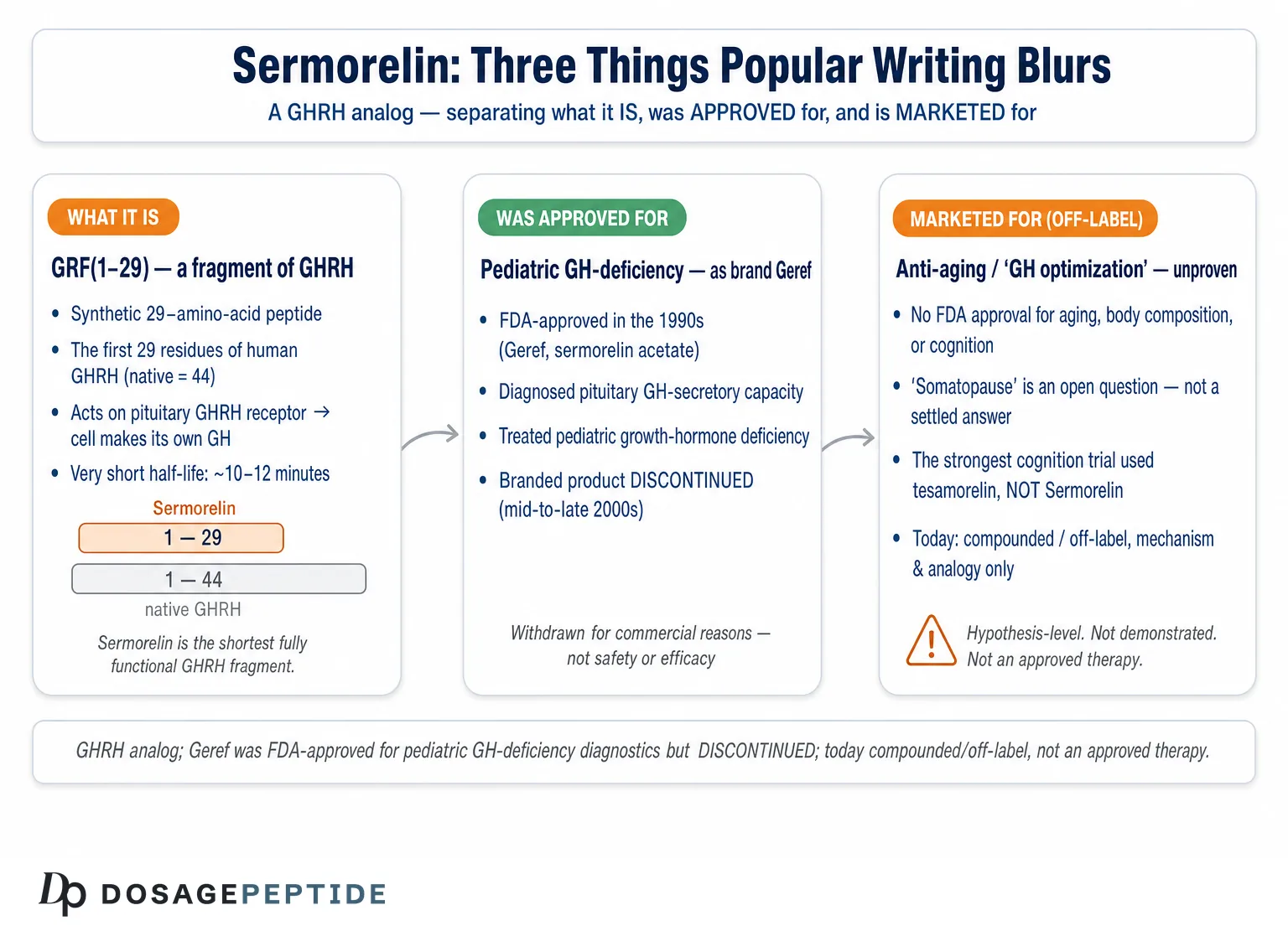 What Emerging Research Questions Position Sermorelin Within Modern Endocrinology?
