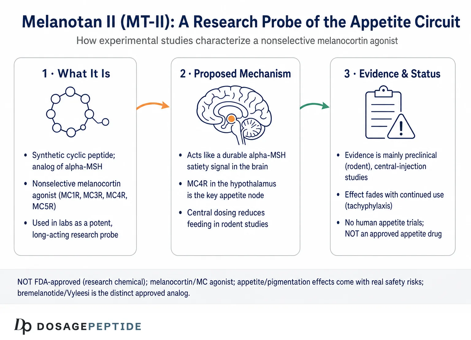 How Do Experimental Studies Characterize Melanotan II in Appetite Regulation Research? — Dosage Peptide infographic