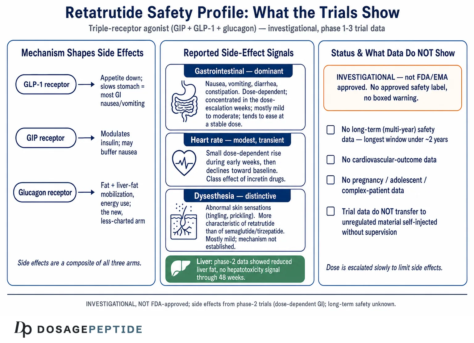 Retatrutide Side Effects & Safety: What the Clinical Research Shows