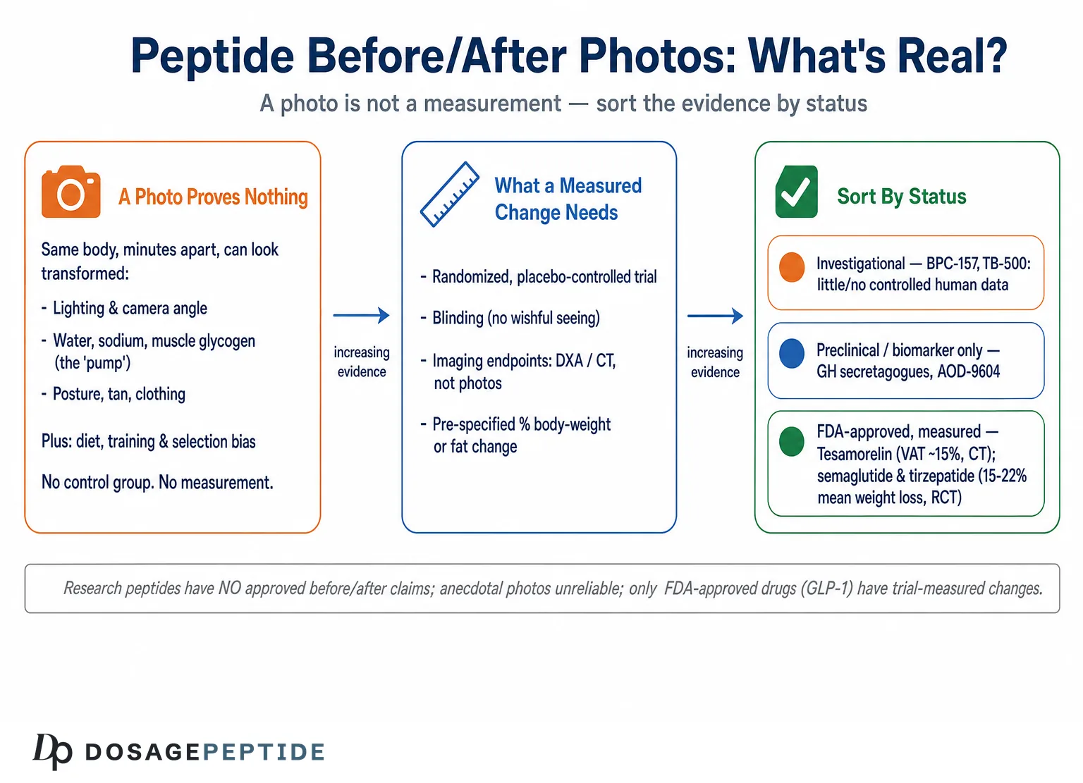 Peptide Before and After: What Results Are Realistic in Research — Dosage Peptide infographic