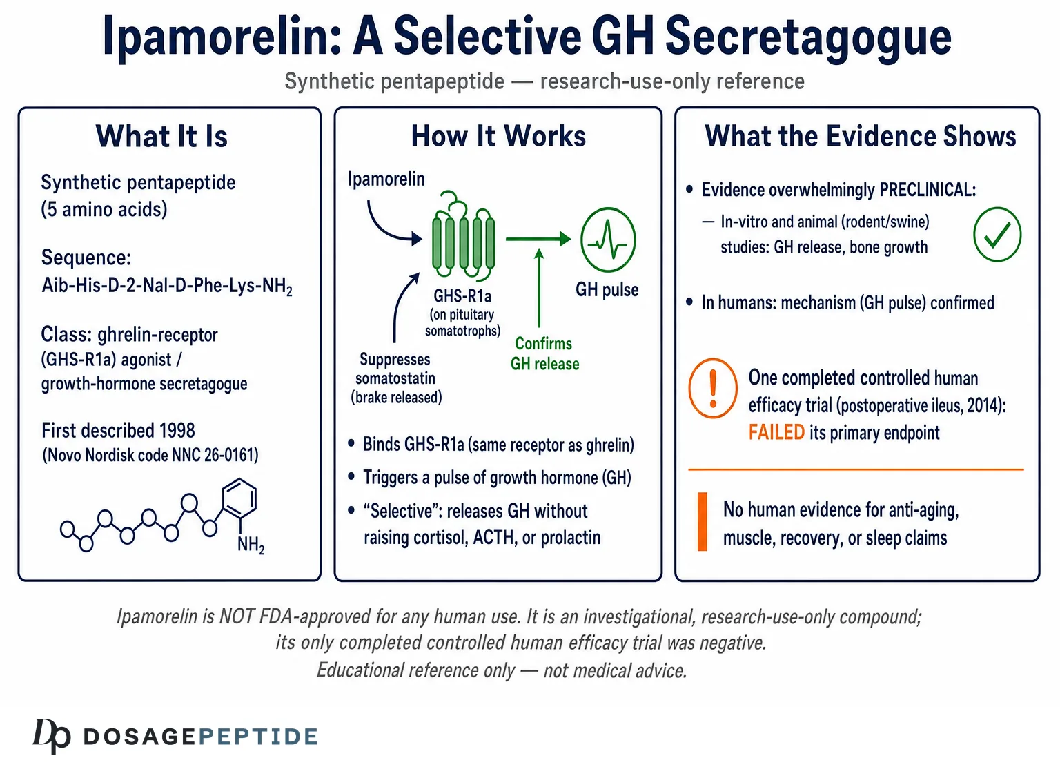 What Is Ipamorelin? Mechanism, Benefits & Dosage Guide — Dosage Peptide infographic