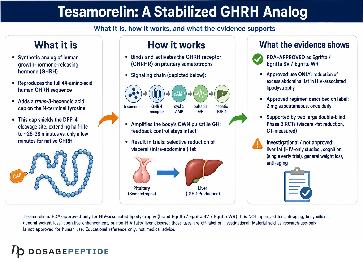 What Is Tesamorelin? How It Works, Benefits, & Side Effects — Dosage Peptide infographic