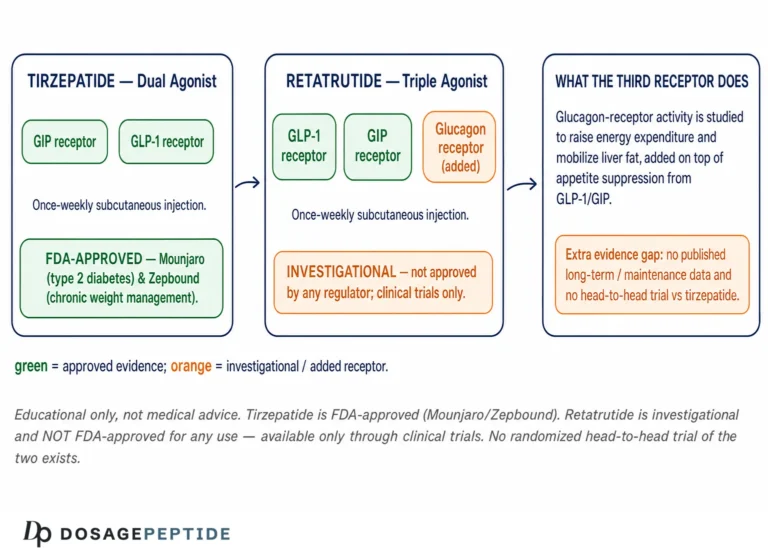 Retatrutide vs Tirzepatide (GLP‑1/GIP vs Triple Agonist): The Clear, Data‑Driven Comparison