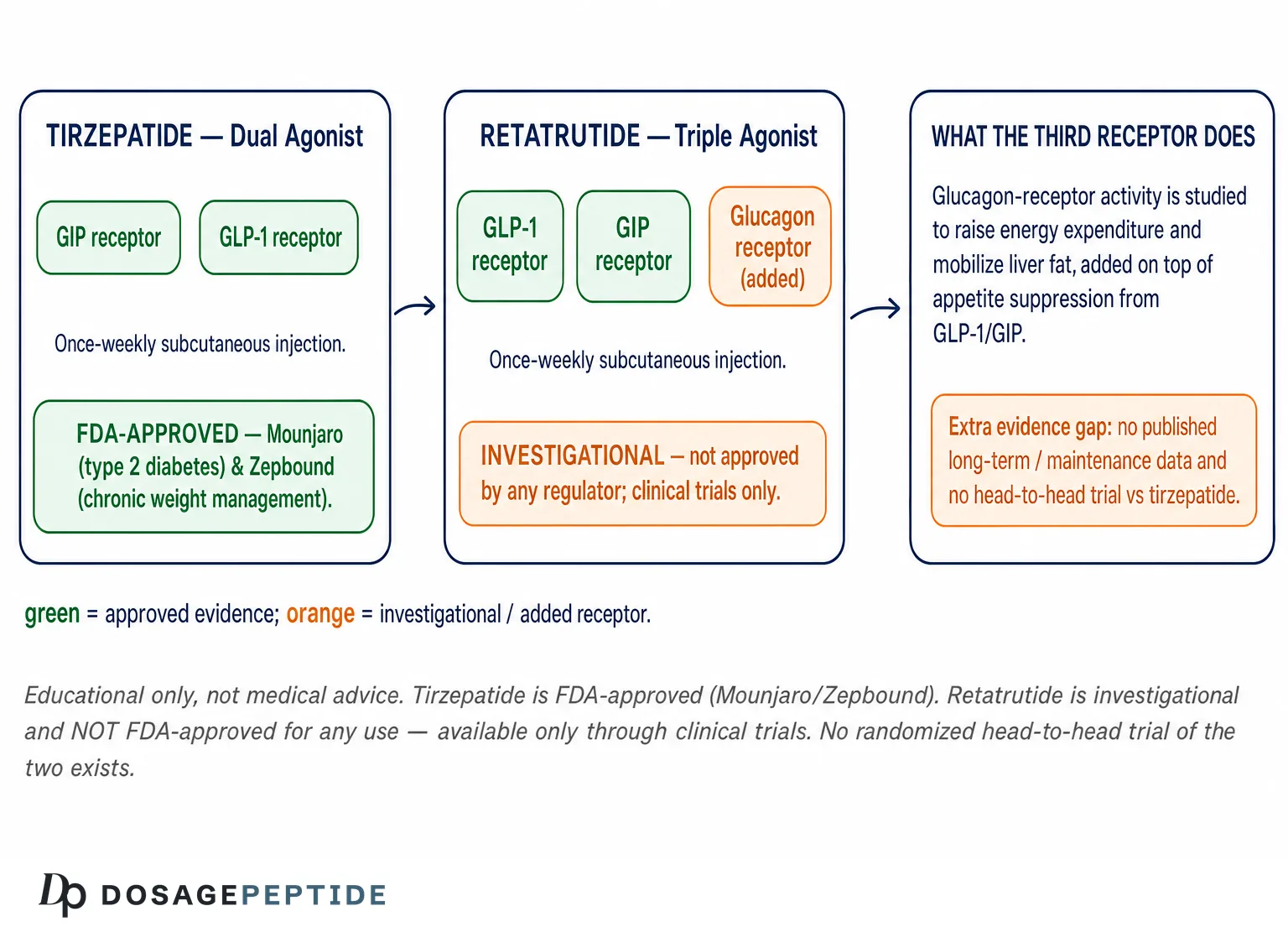 Retatrutide vs Tirzepatide: The Clear, Data-Driven Comparison — Dosage Peptide infographic