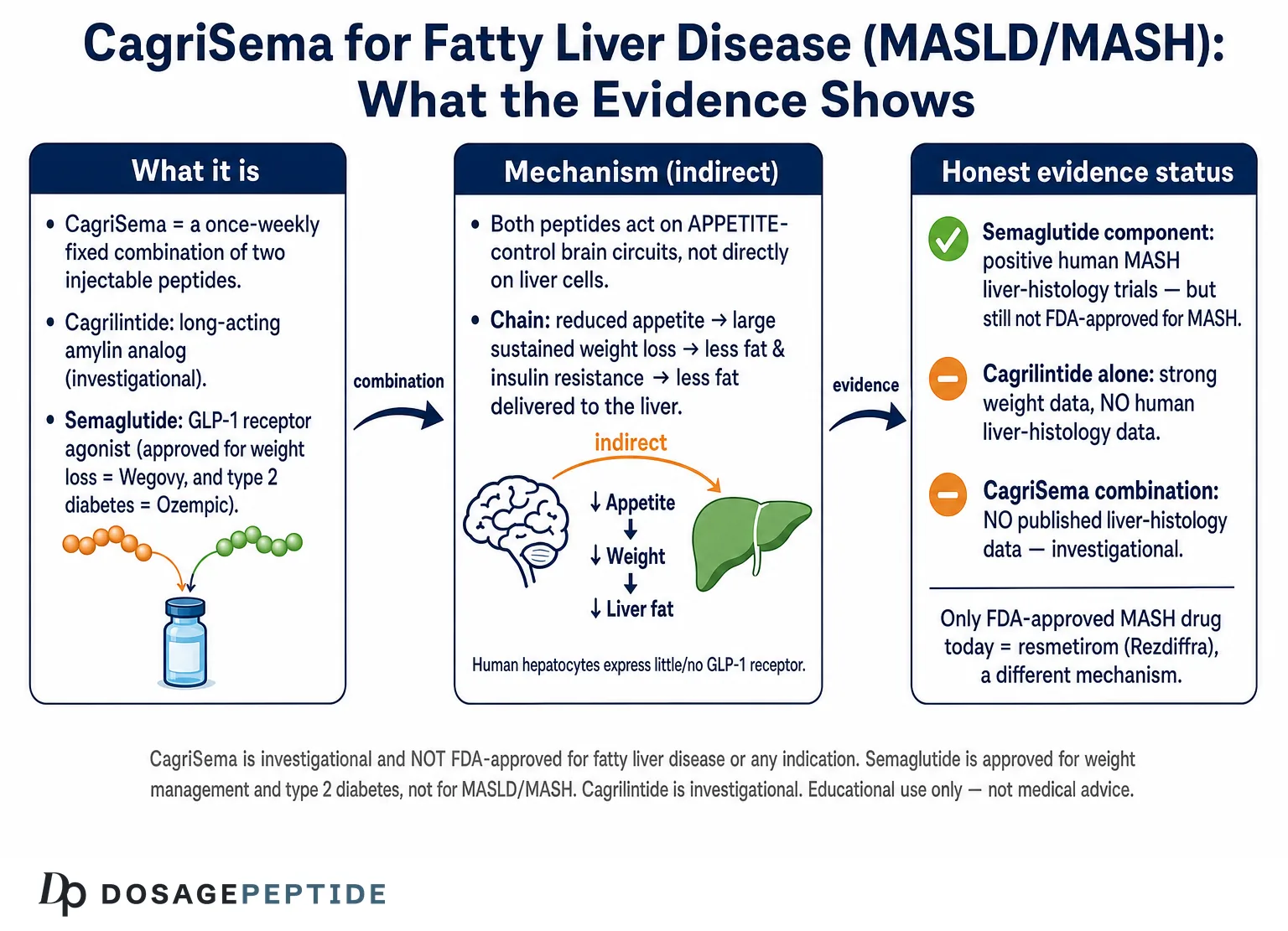 What Is the Potential Role of Cagrilintide and Semaglutide Combo in Obesity-Related Liver Disease? — Dosage Peptide infographic