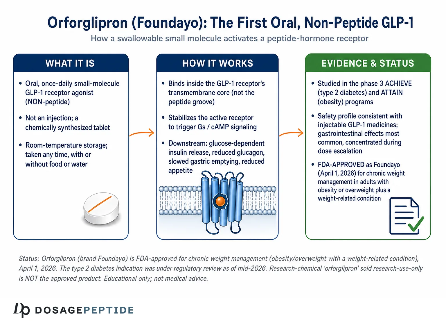 What Is Orforglipron? The Oral GLP-1 Pill Explained for Research — Dosage Peptide infographic