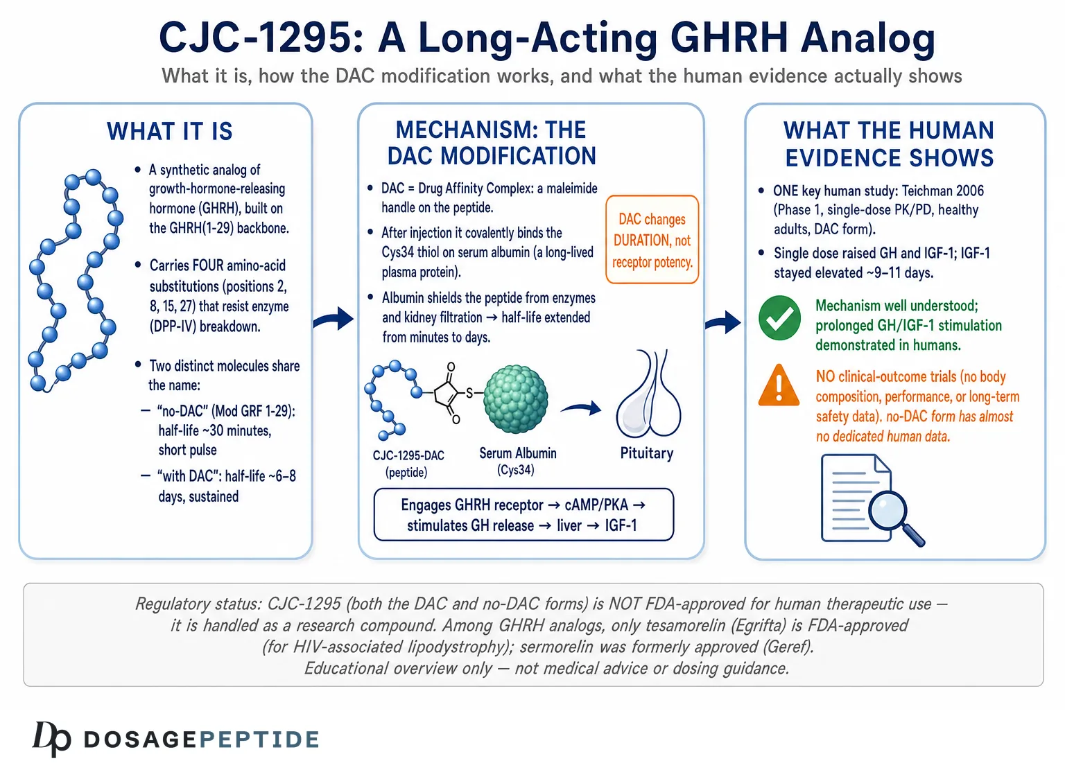 What Is CJC-1295? DAC vs No-DAC, Mechanism & the Research — Dosage Peptide infographic