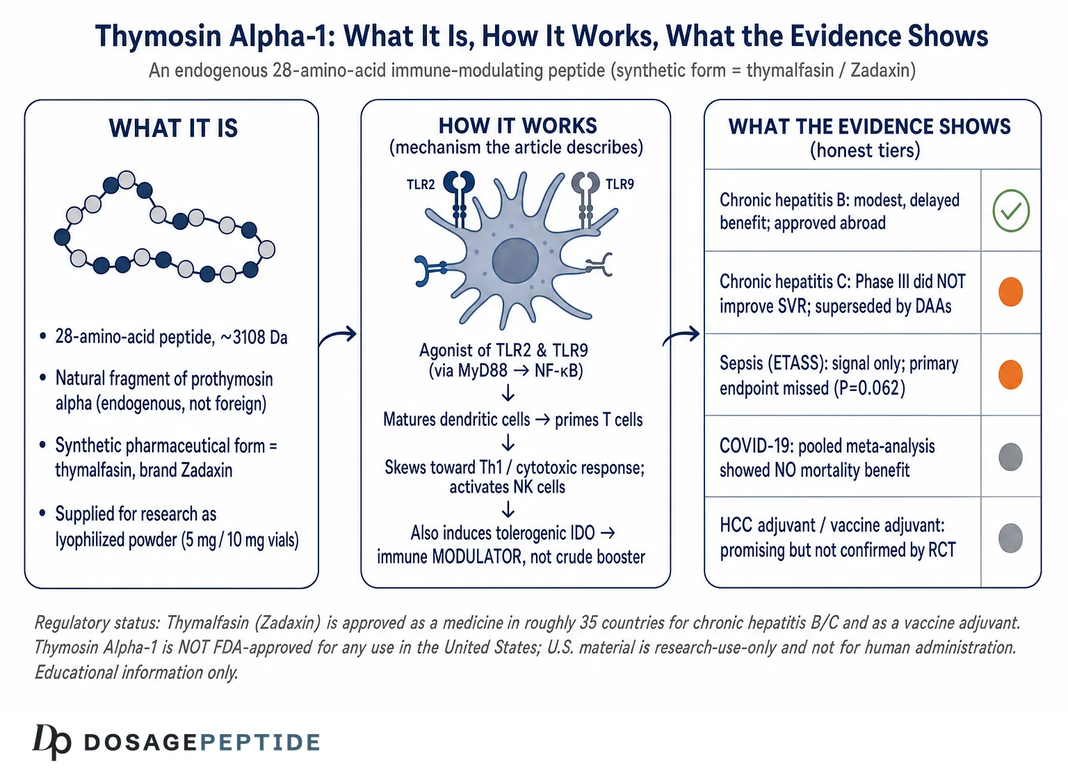 What Is Thymosin Alpha-1? Immune Modulation & the Research — Dosage Peptide infographic