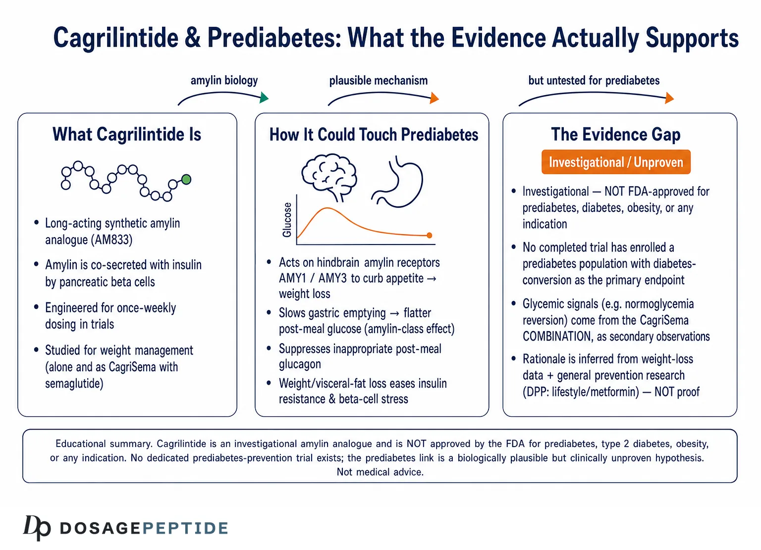 Is Cagrilintide a Promising Investigational Approach for Reducing Prediabetes Risk?