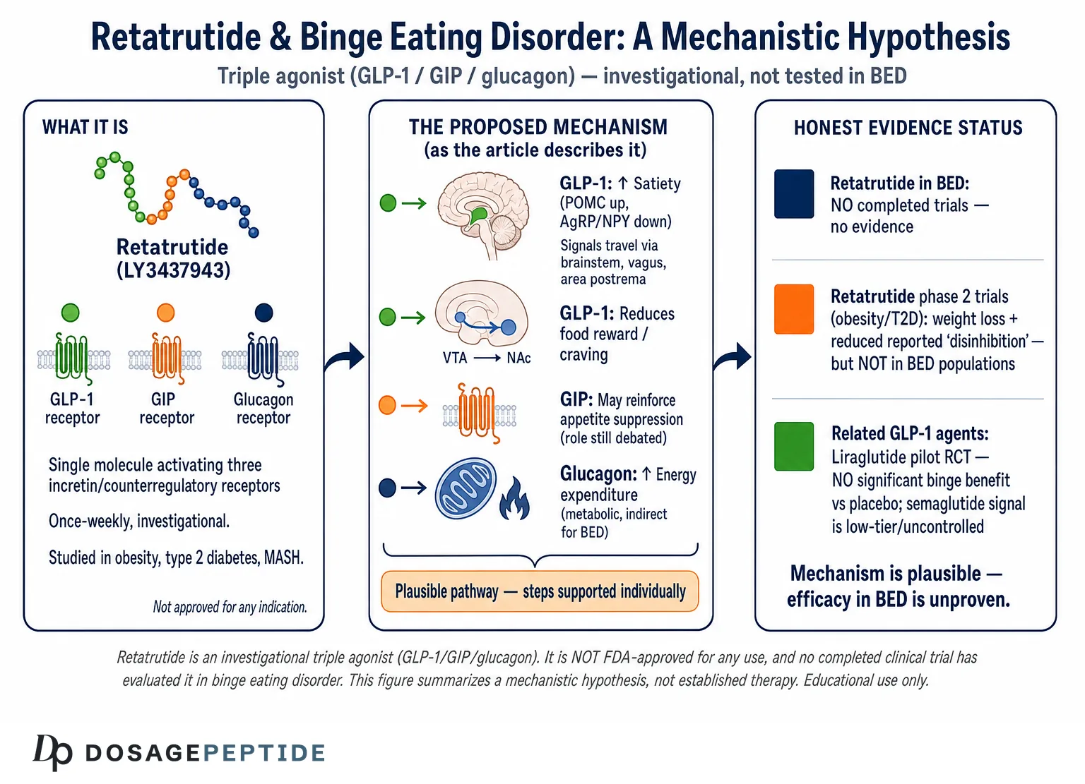 What Are Research Insights on Retatrutide for Neuroendocrine Appetite Dysregulation in Binge Eating Disorder? — Dosage Peptide infographic