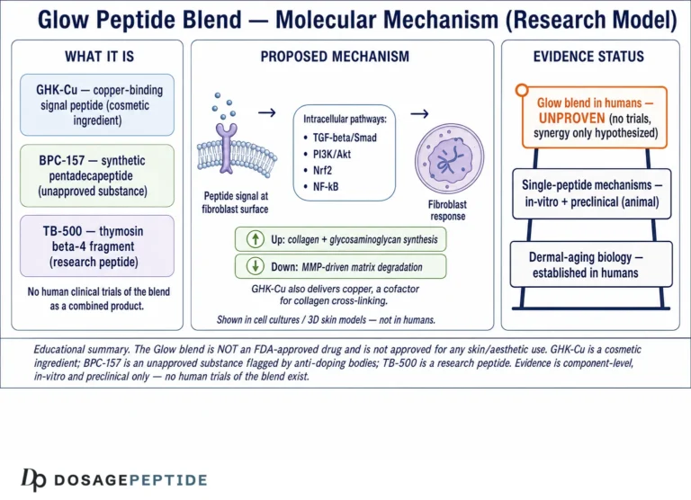What Are the Molecular Mechanisms Behind the Glow Peptide Blend in Aesthetic Research?