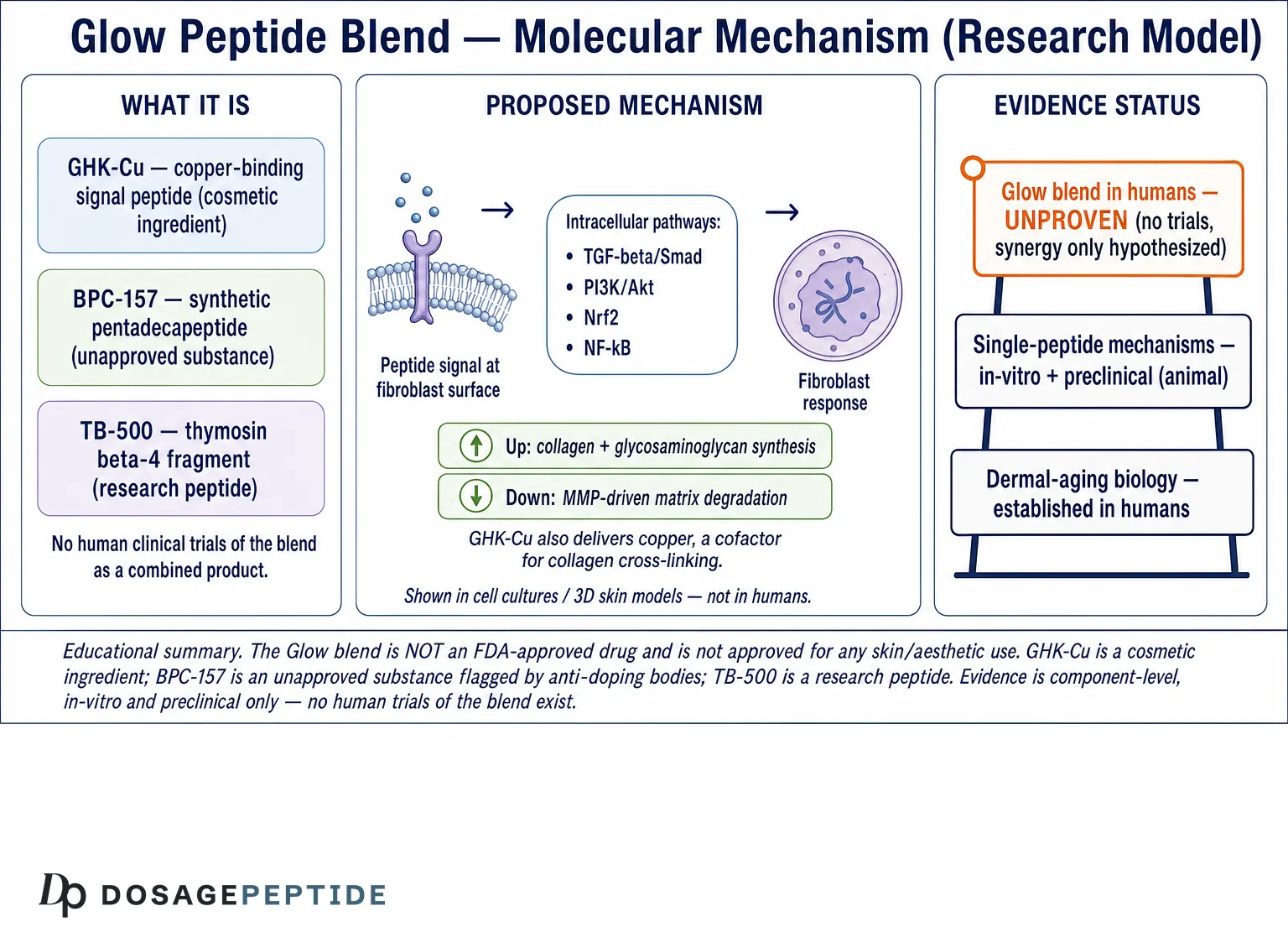 What Are the Molecular Mechanisms Behind the Glow Peptide Blend in Aesthetic Research? — Dosage Peptide infographic