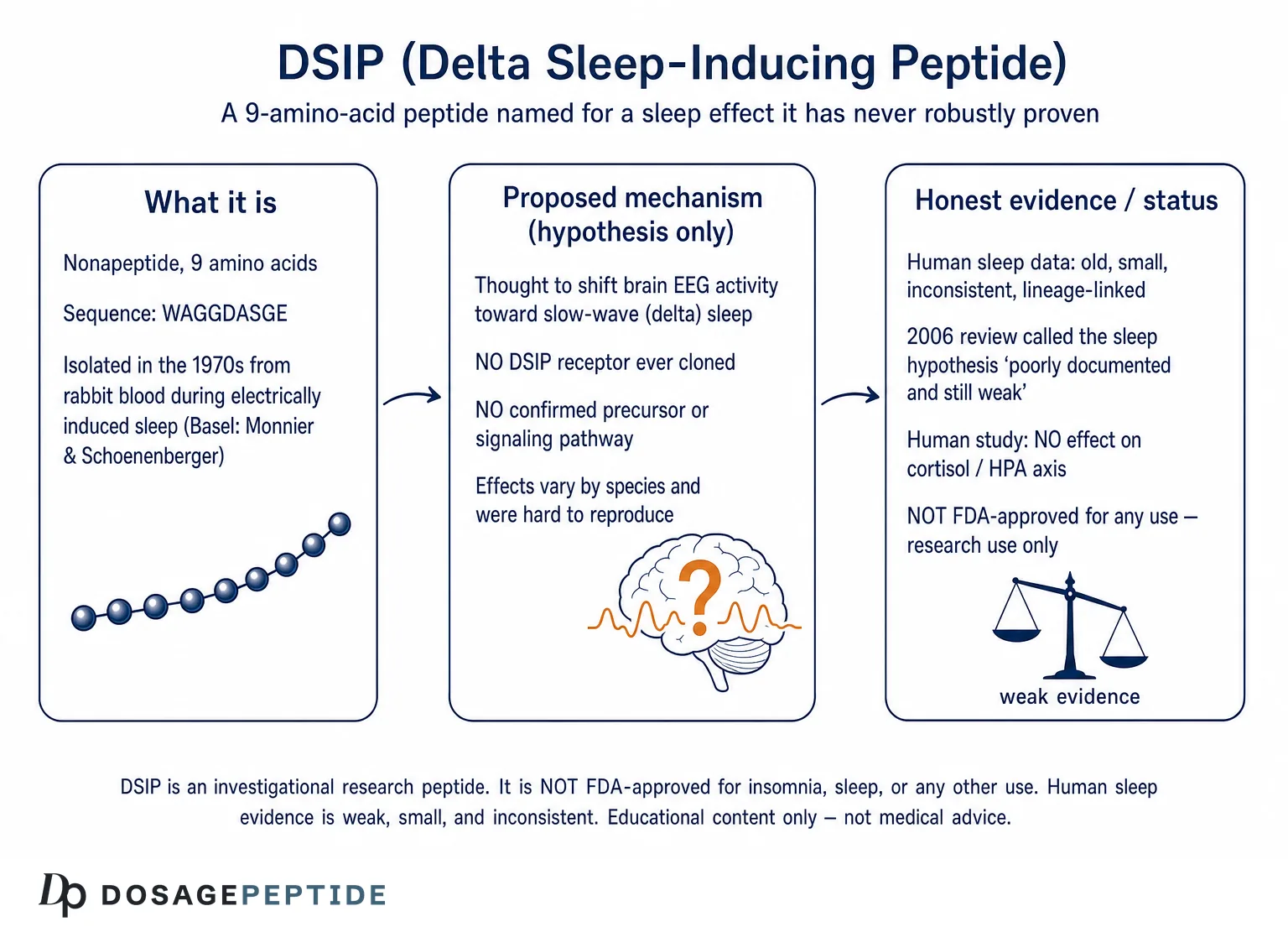 Does DSIP (Delta Sleep-Inducing Peptide) Improve Sleep? What the Research Shows — Dosage Peptide infographic