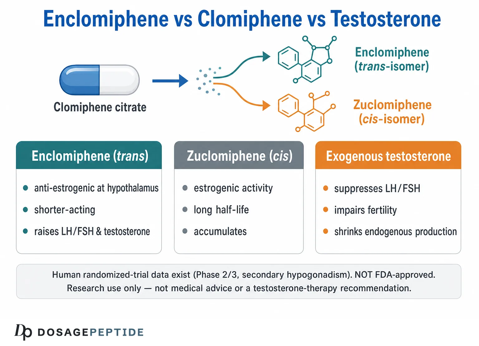 Enclomiphene: SERM & Testosterone Research