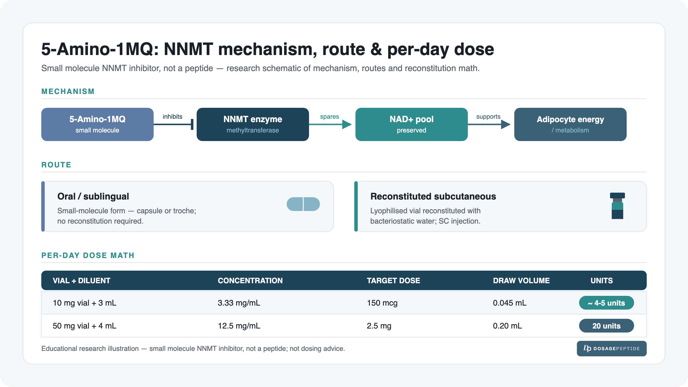 5-Amino-1MQ Dosage: How Much Per Day, Route & the Complete Protocol