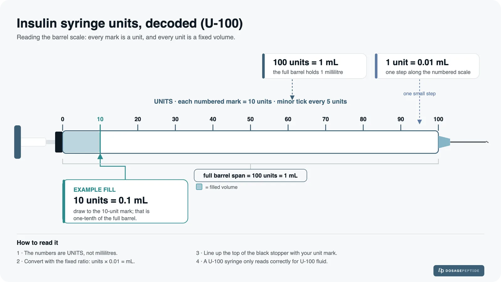 Insulin Syringe Units for Peptides: mcg-to-Units Chart & How to Read the Barrel