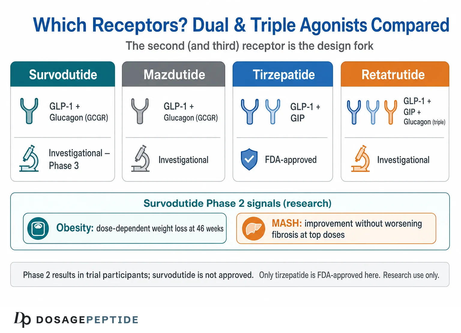 What Is Survodutide? The GLP-1/Glucagon Dual Agonist Explained for Research