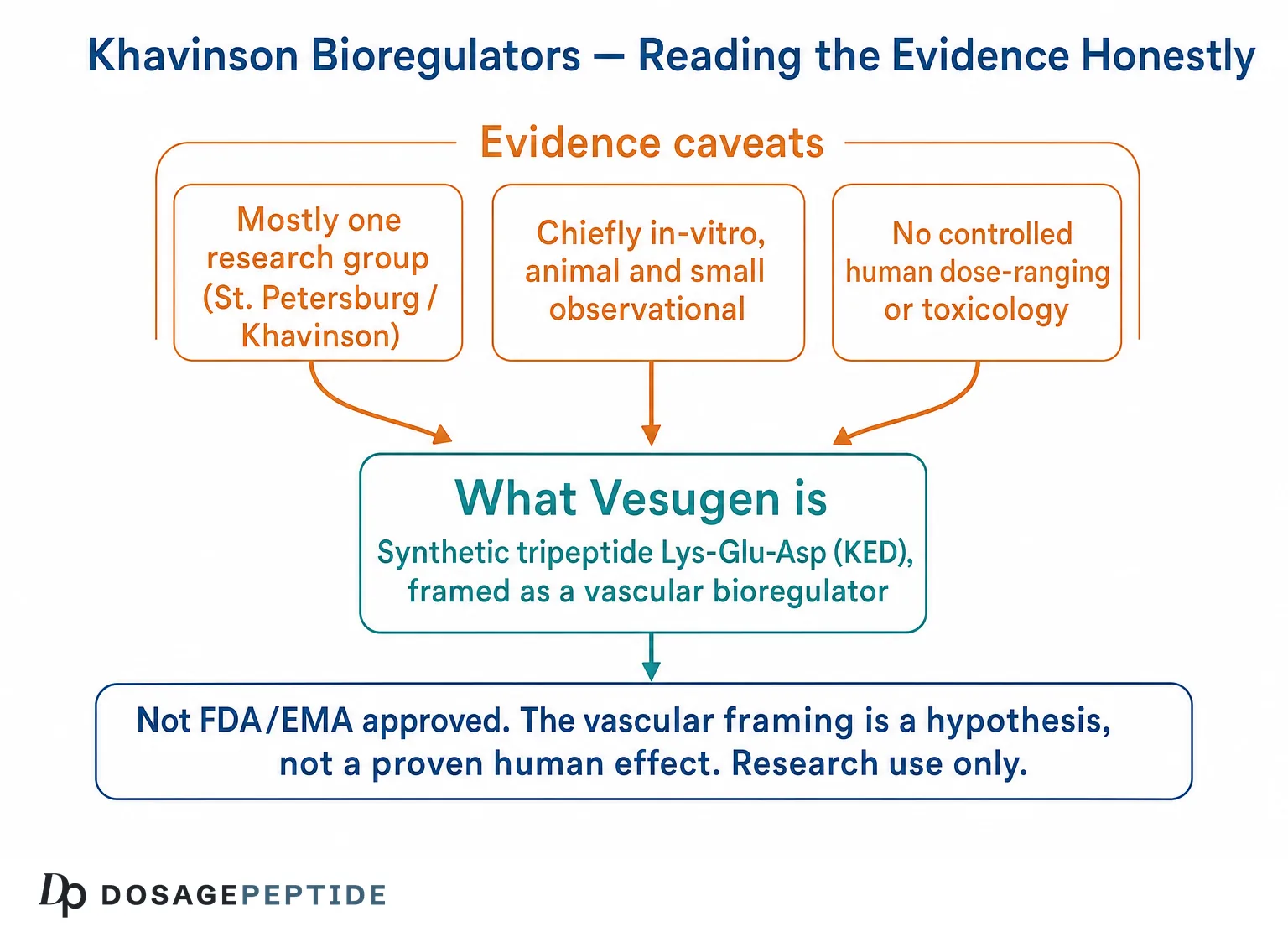 Vesugen Dosage & Reconstitution: A Research Reference for the KED Peptide