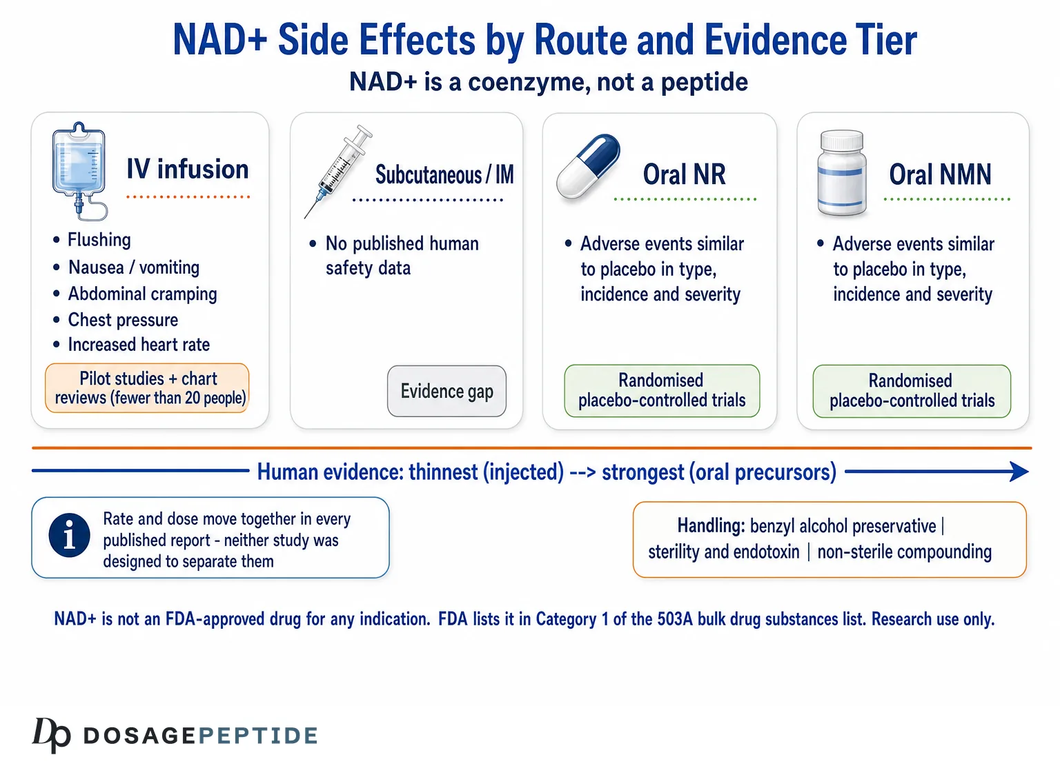 NAD+ Side Effects: What the Research Actually Documents