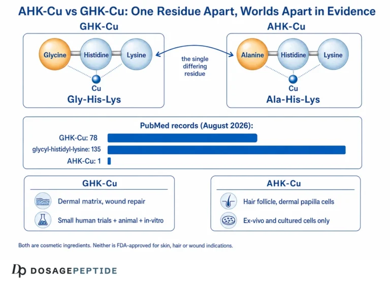 AHK-Cu vs GHK-Cu: How the Two Copper Peptides Actually Differ