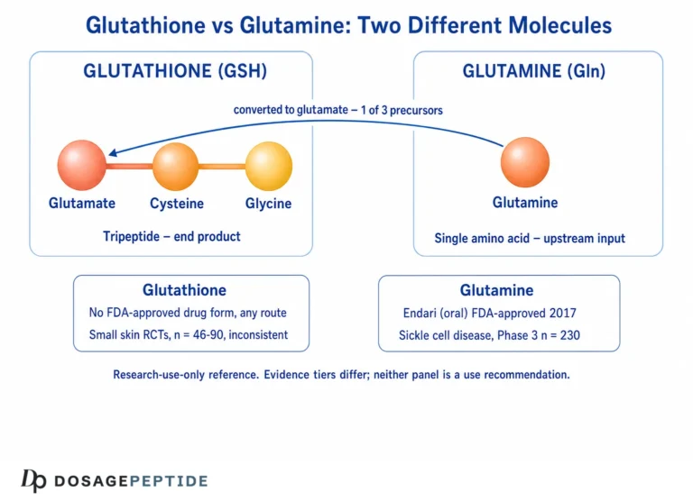 Glutathione vs Glutamine: Two Different Molecules, Two Different Research Records