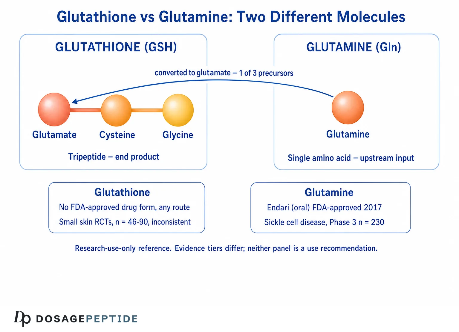 Glutathione vs Glutamine: The Difference, Evidence and Safety (2026)