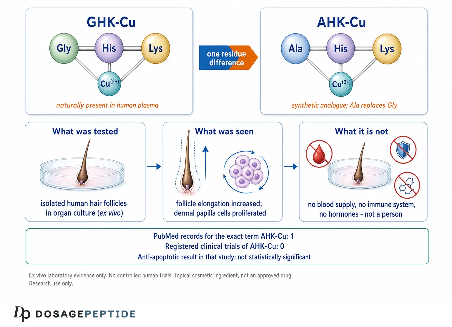 What Is AHK-Cu? The Copper Tripeptide in Hair and Skin Research
