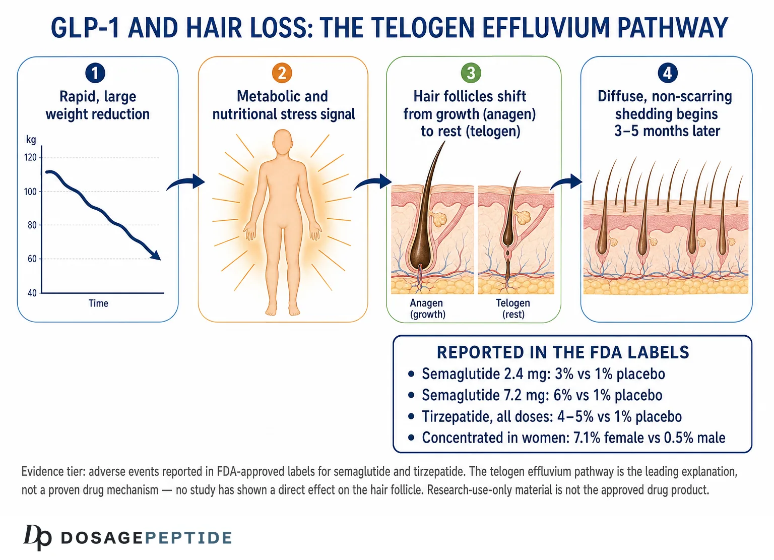 lemme glp-1 daily | Here's what to expect when starting Lemme Daily™️: 🧬By Month 2, participants in a Supresa® clinical study showed a 69% decrease in Wellness hexagons first large study of Amount:2.5mg × 4 pens