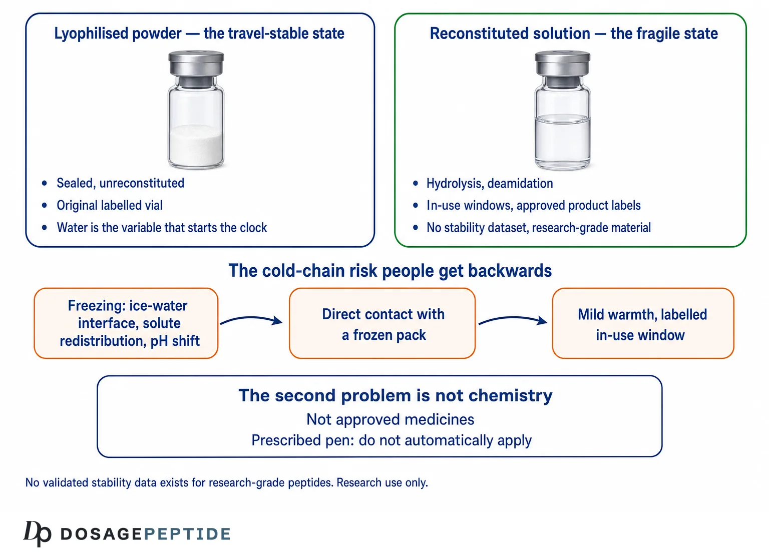 Schema comparing lyophilised peptide powder and reconstituted solution for travel, with cold-chain freezing risks and the regulatory limits of research-grade material