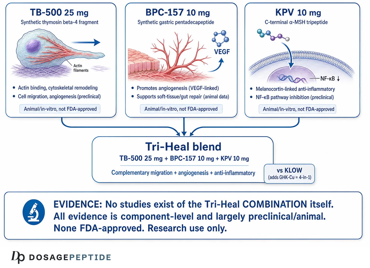 Tri-Heal blend components TB-500, BPC-157 and KPV and their research roles