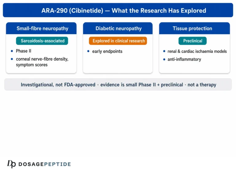 What Is ARA-290 (Cibinetide)? Mechanism, Trials and Evidence (2026)