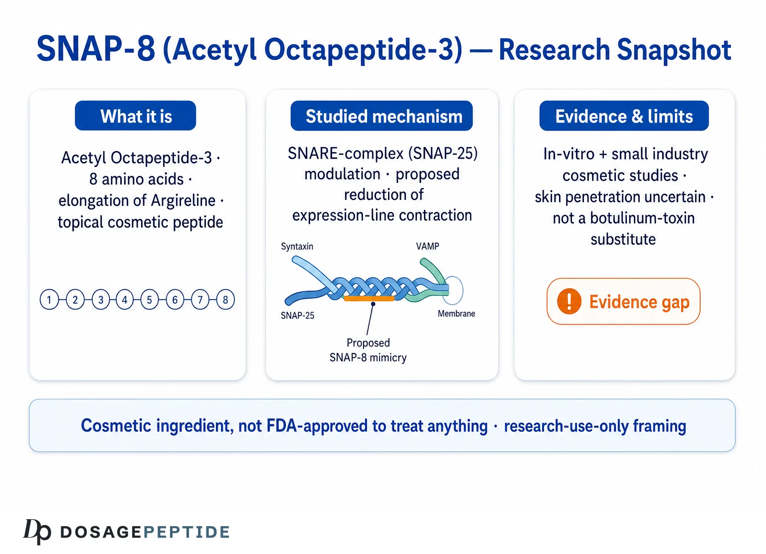 What Is SNAP-8 (Acetyl Octapeptide-3)? The SNARE-Modulating Cosmetic Peptide in Research