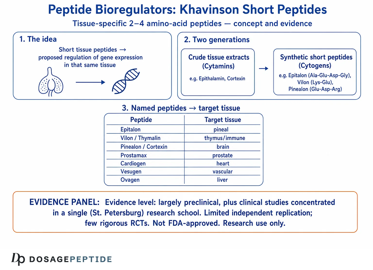 epithalon oral bioavailability khavinson 10mg Epithalon Benefits and Research Applications